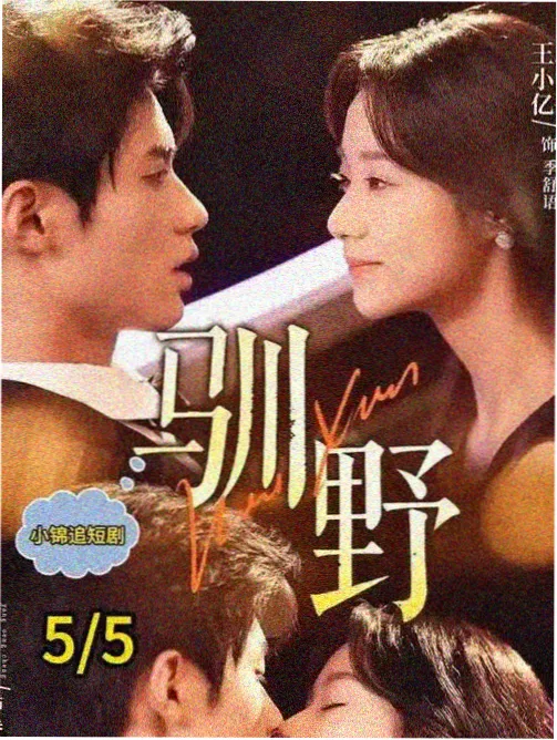 寂寞影院影片图鉴扩展至十二类配图